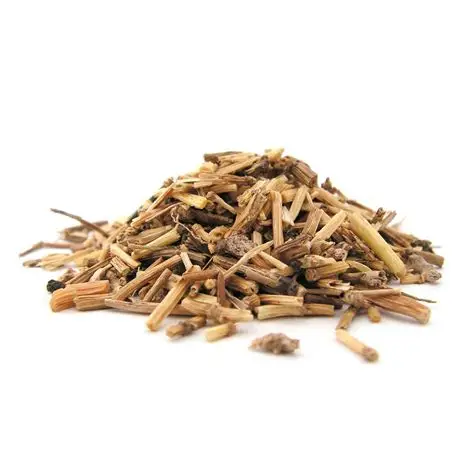 Couch Grass Rhizome Extract Powder: Complete Buyer’s Guide
